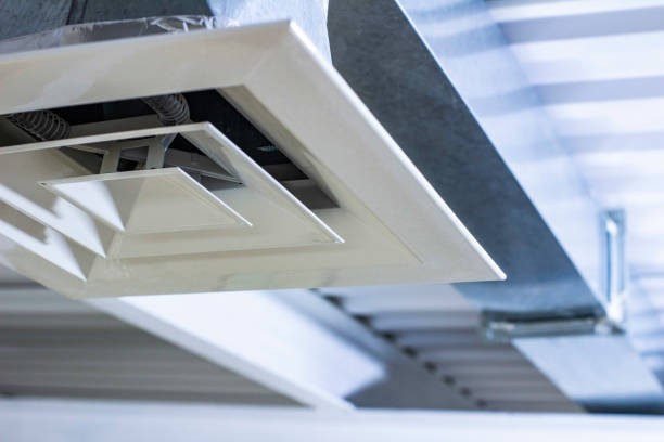 Best Ductwork Cleaning Services  in Mims, FL