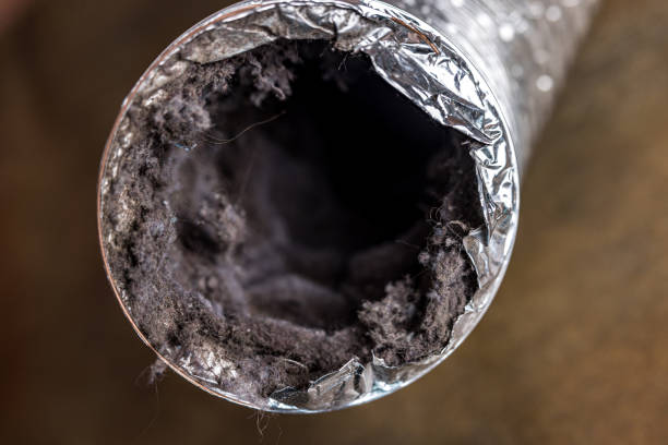 Best Residential Air Duct Cleaning  in Mims, FL