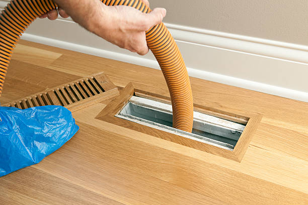 Best Air Quality Test  in Mims, FL